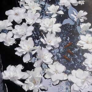 日本农村女人户外色情片
