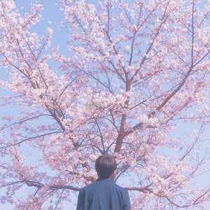 日本农村女人户外色情片
